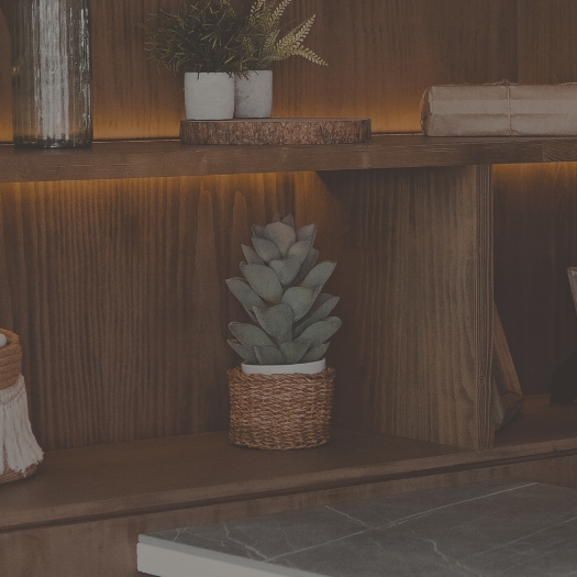 Hotel area decorated with plants and wooden finishes